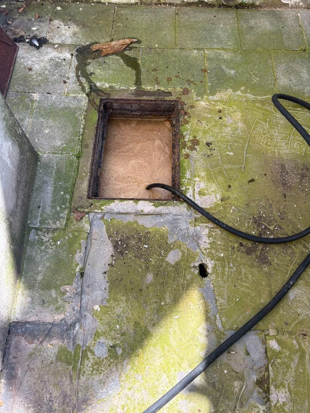 Regard d’égout extérieur ouvert avec sédiments visibles et tuyau de curage, contrôle par Nero Canalis à Ixelles